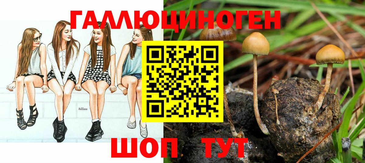 цена   Вход с VPN  Гурьевск  Псилоцибиновые грибы MAGIC MUSHROOMS 